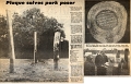 19790323 ELM TREES CN